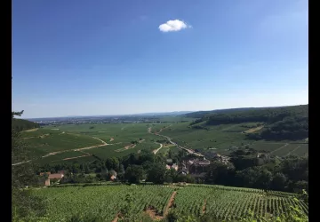 2F06040F-382F-4F70-8271-A870CE4E5CB7