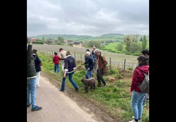 Une balade accessible et curieuse au fil de la Vigne