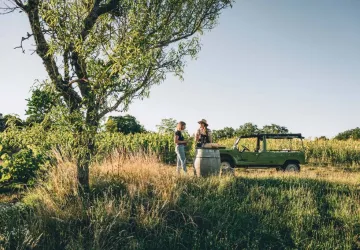 Dégustation dans les vignes
