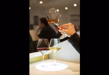Ecole des Vins de Bourgogne_dégustation