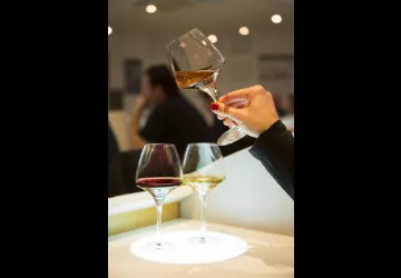 Ecole des Vins de Bourgogne_dégustation