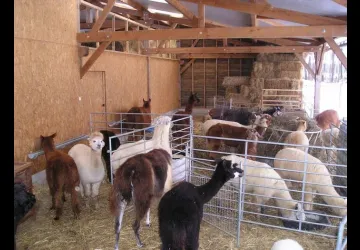 bâtiment d'élevage