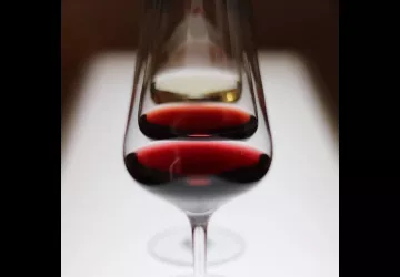 Sensation Vin - la couleur des vins