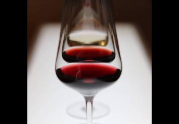 Sensation Vin - la couleur des vins