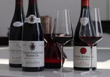 cours-oenologie-beaune-depuis-2006-sensation-vin