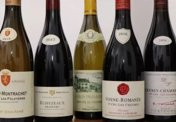 degustation-sensation-vin