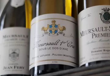 degustation-sur-mesure-meursault-densation-vin