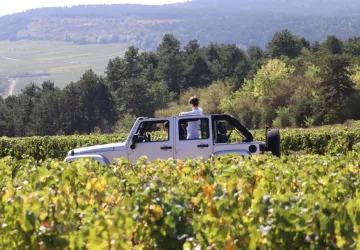 wine-tour-vignoble-bourgogne-sensation-vin