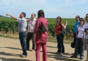excursion dans le vignoble