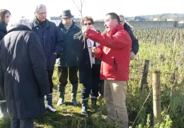 Balade Atelier Vigne et Vin