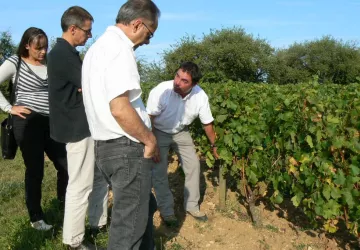 Balade Atelier Vigne et Vin