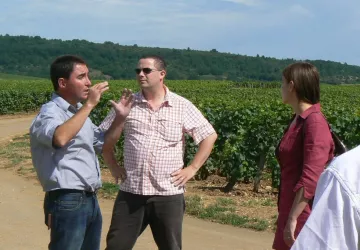 Balade Atelier Vigne et Vin2