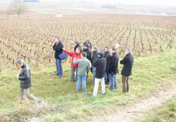 Balade Atelier VigneetVin