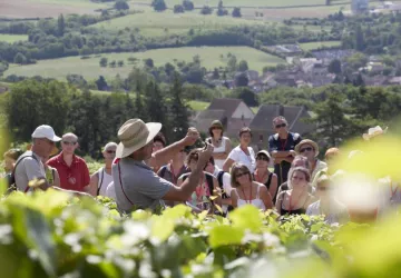 OeNolay Tour avec Nicolas Monnot