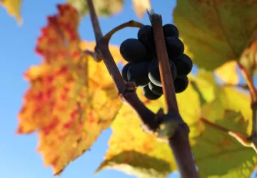 386598925_803316338460963_4308461862844720333_n