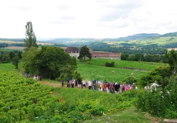 Groupe dans les vignes