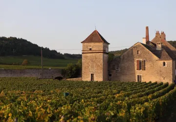 Clos du Moulin Aux Moines