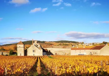 Clos du Moulin aux Moines - Vue automne (2)