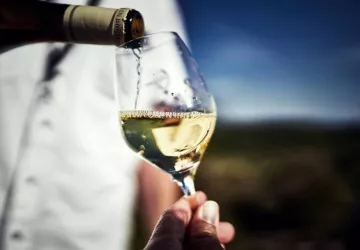 VG_BFC_DEGUSTATION_SOLUTRE_©CHERRYSTONE_020619_538