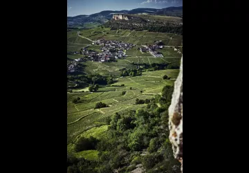 VG_BFC_DEGUSTATION_SOLUTRE_©CHERRYSTONE_020619_573