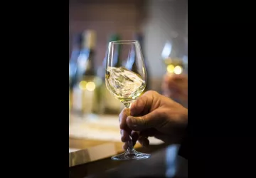 Dégustation de Chablis