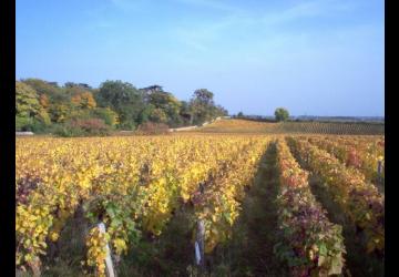 300 Couleurs d automne
