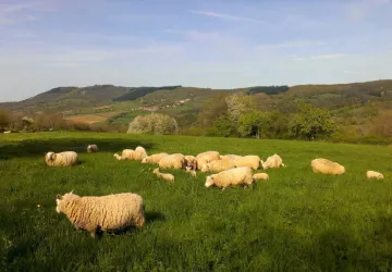 La-Ferme-du-Mont-Rouge--1-