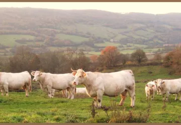 La Ferme du Mont Rouge (2)