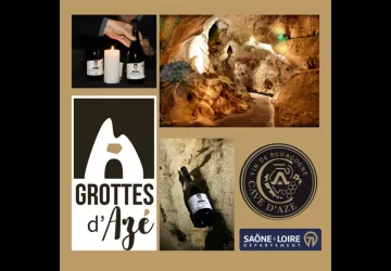 Expérience oenologique