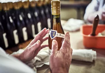 VG_BFC_©CHERRYSTONE_141119_CASSISSIUM_012