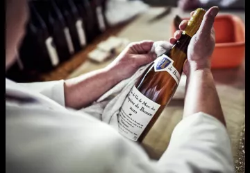 VG_BFC_©CHERRYSTONE_141119_CASSISSIUM_024