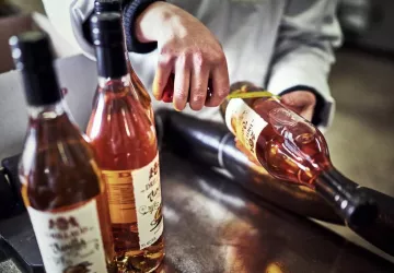 VG_BFC_©CHERRYSTONE_141119_CASSISSIUM_039