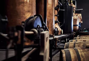 VG_BFC_©CHERRYSTONE_141119_CASSISSIUM_050