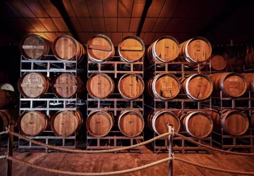 VG_BFC_©CHERRYSTONE_141119_CASSISSIUM_071