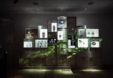 VG_BFC_©CHERRYSTONE_141119_CASSISSIUM_080