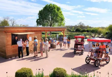 Le Panier des Vignes