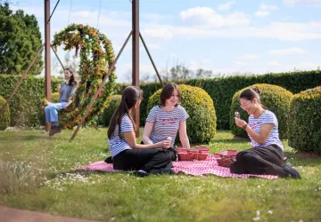 Le Panier des vignes