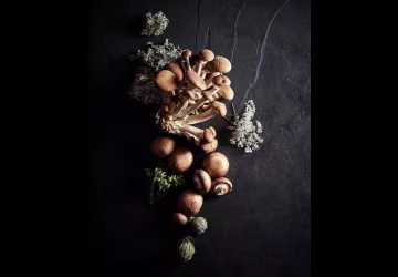 VG_BFC_©CHERRYSTONE_011020_LOISEAU_ (8)