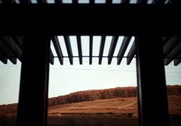 VG_BFC_©CHERRYSTONE_031219_RESTAURANT_CHARLEMAGNE_006 (1)