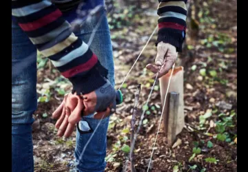 VG_BFC_©CHERRYSTONE_031219_RESTAURANT_CHARLEMAGNE_034