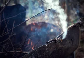 VG_BFC_©CHERRYSTONE_031219_RESTAURANT_CHARLEMAGNE_040