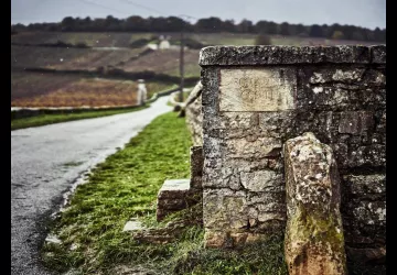 VG_BFC_©CHERRYSTONE_151119_RESTAURANT_LE_CHARLEMAGNE_014