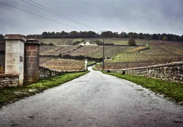 VG_BFC_©CHERRYSTONE_151119_RESTAURANT_LE_CHARLEMAGNE_016