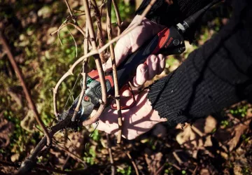 VG_BFC_©CHERRYSTONE_031219_TABLE_PAULINE_105 (2)