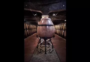 VG_BFC_©CHERRYSTONE_041119_TABLE_PAULINE_105