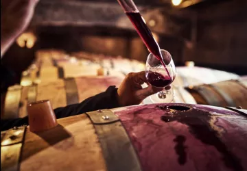 VG_BFC_©CHERRYSTONE_041119_TABLE_PAULINE_111