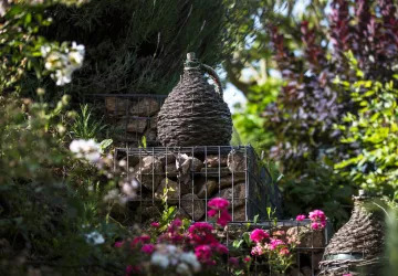 les-terrasses-juin-2022-extérieur-109