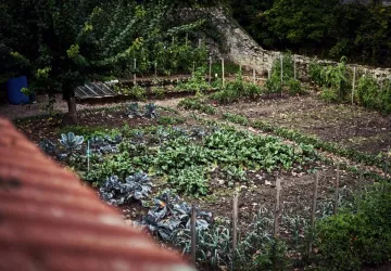 VG_BFC_©CHERRYSTONE_011020_DOUCET_ (188)