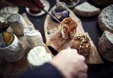 VG_BFC_©CHERRYSTONE_011020_DOUCET_ (63)