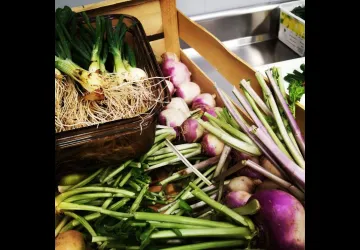 Légumes Bio